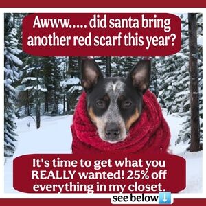 Awww. SANTA Brought ANOTHER RED SCARF?? 20% Off Any Item